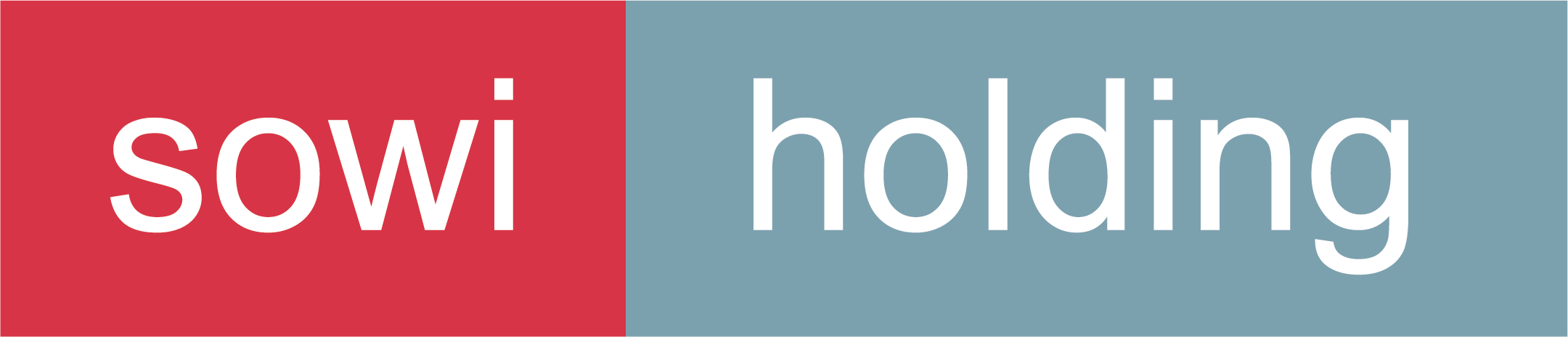 2020-sowi-holding-logo-rgb.png